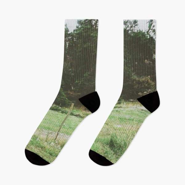 Item preview, Horse in a summer field  designed and sold by Emilia Oxelheim.