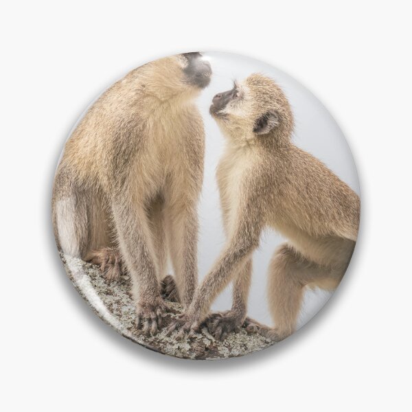 Item preview, Two Vervet Monkeys Tanzania Africa designed and sold by PhotoArt by Joan Carroll.