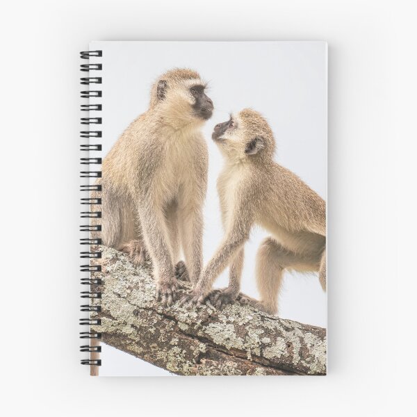 Item preview, Two Vervet Monkeys Tanzania Africa designed and sold by PhotoArt by Joan Carroll.