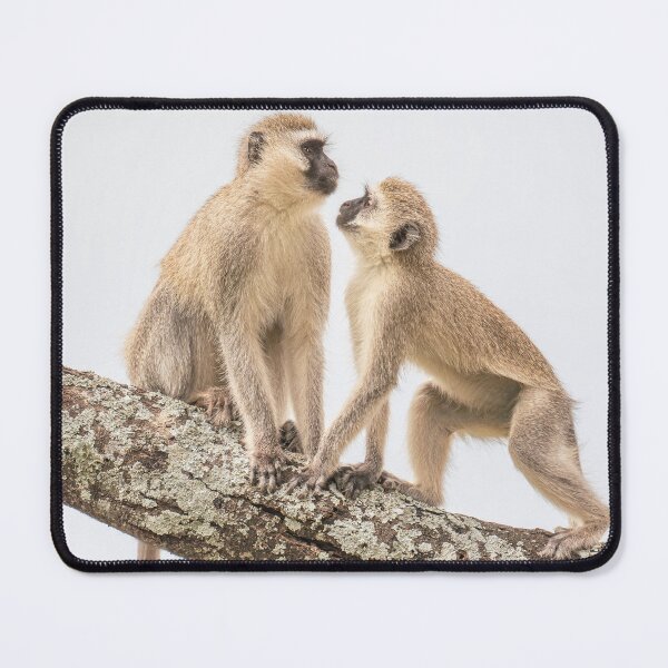Item preview, Two Vervet Monkeys Tanzania Africa designed and sold by PhotoArt by Joan Carroll.