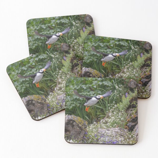 Item preview, Horned Puffin in Flight Alaska designed and sold by PhotoArt by Joan Carroll.