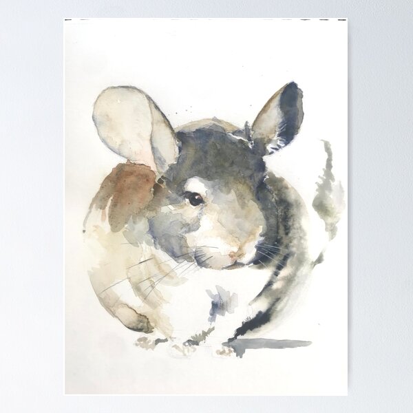 the chinchilla Poster