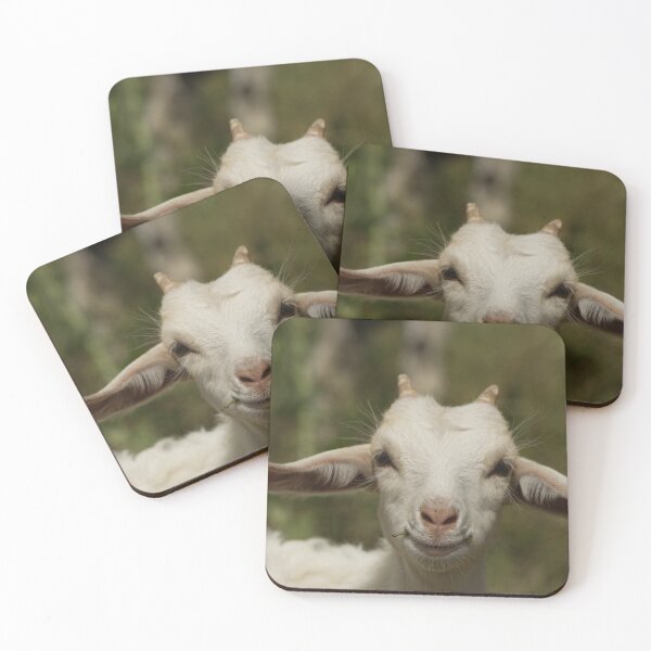 Item preview, White goat lamb observes the observer with interest designed and sold by Yven-Dienst.