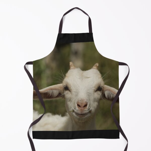 Item preview, White goat lamb observes the observer with interest designed and sold by Yven-Dienst.