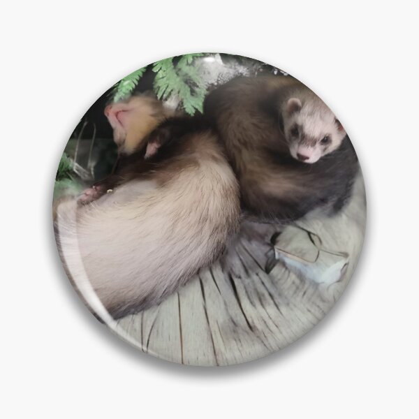 Item preview, Funny ferrets designed and sold by Launchi.