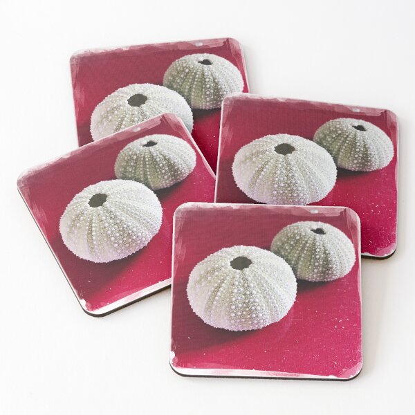 Item preview, Sea Urchin Tests Found on Coast of Maine designed and sold by ToadsWorkshop.
