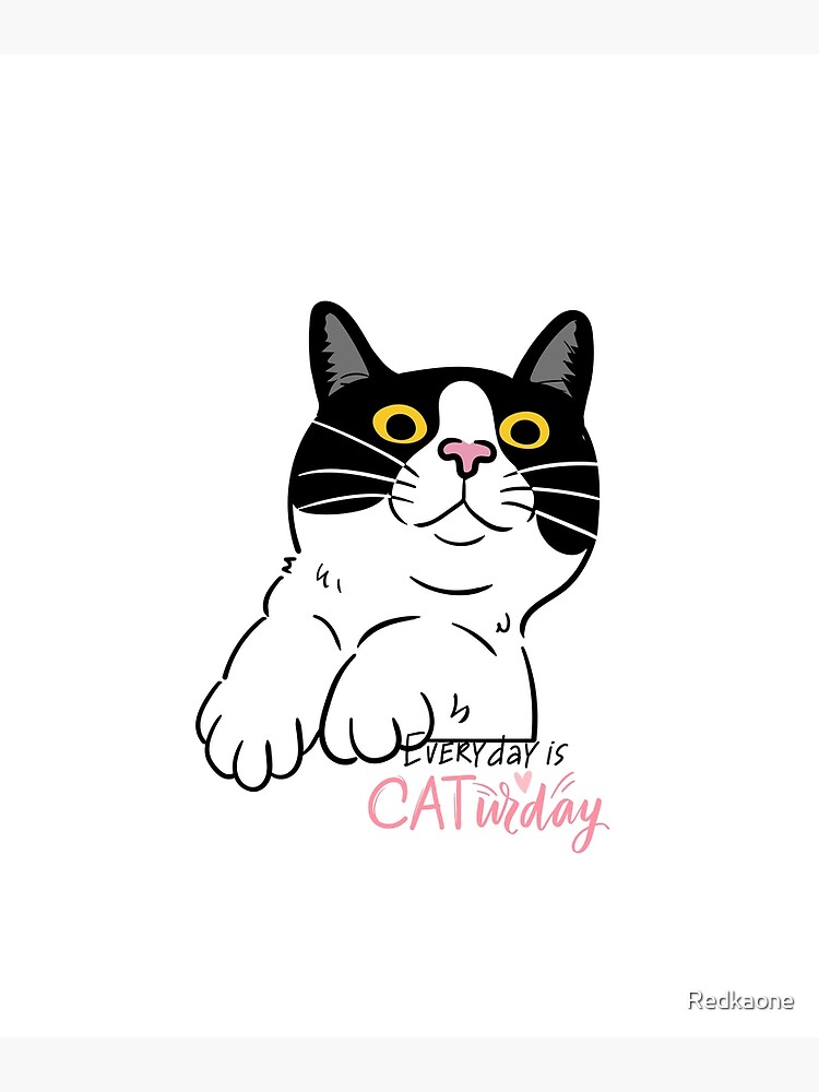 Cute Cats Embroidered Stickers Graphic by Digital Xpress