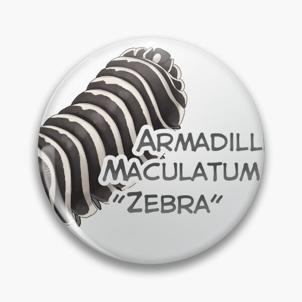 Item preview, Armadillidium Maculatum "Zebra" name tag designed and sold by Pods-n-Pugs.