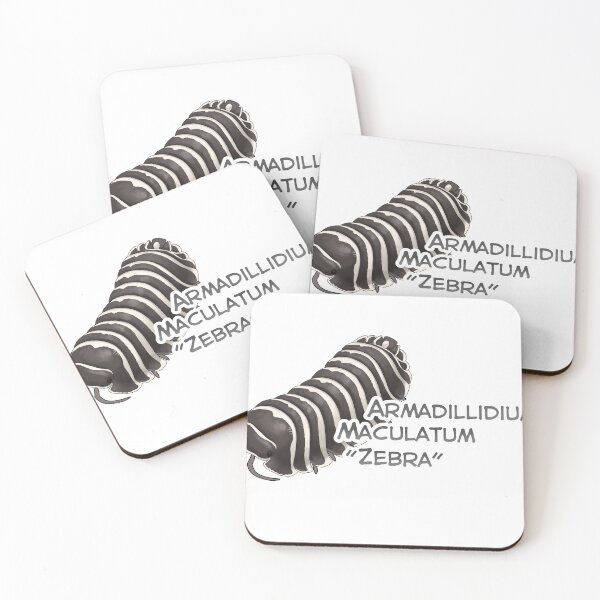 Item preview, Armadillidium Maculatum "Zebra" name tag designed and sold by Pods-n-Pugs.