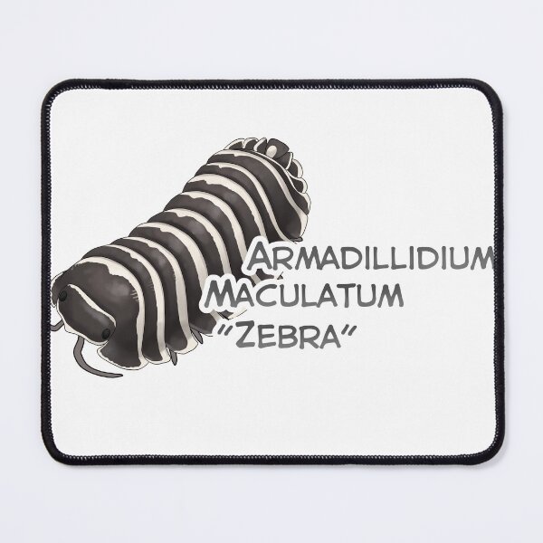Item preview, Armadillidium Maculatum "Zebra" name tag designed and sold by Pods-n-Pugs.