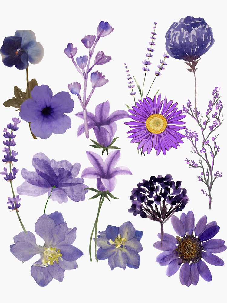 Purple Flower Sticker – Big Moods