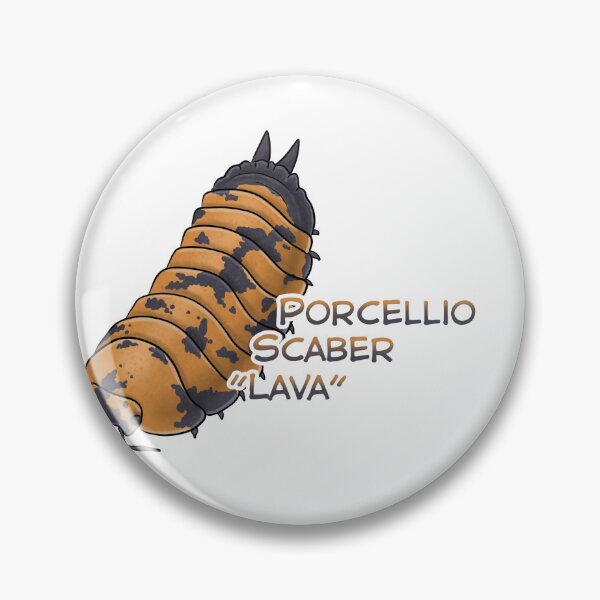 Item preview, Porcellio Scaber "Lava" name tag designed and sold by Pods-n-Pugs.