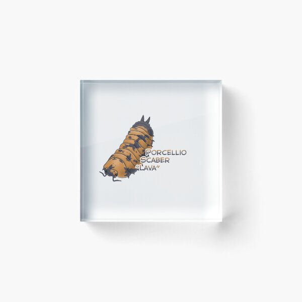 Item preview, Porcellio Scaber "Lava" name tag designed and sold by Pods-n-Pugs.