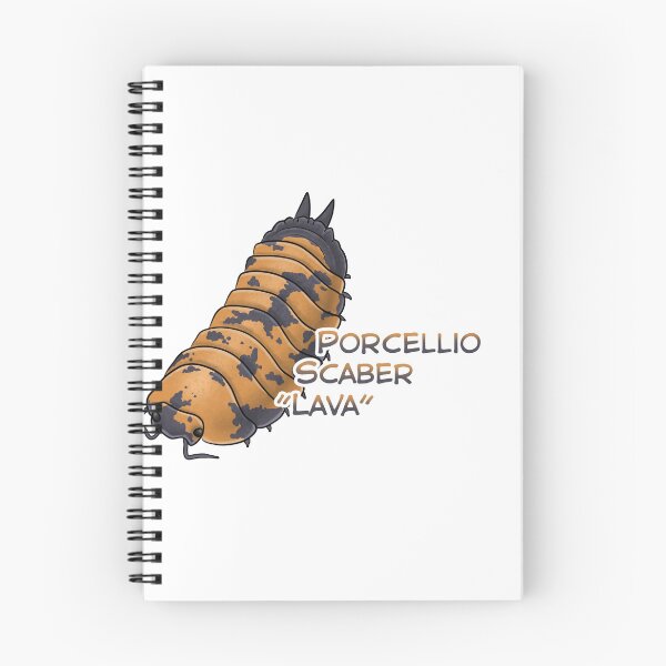 Item preview, Porcellio Scaber "Lava" name tag designed and sold by Pods-n-Pugs.