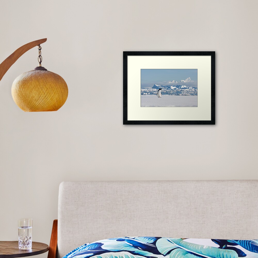 Adelie on Ice Framed Art Print
