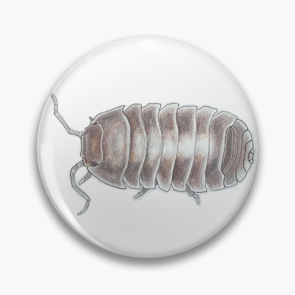 Item preview, Armadillidium depressum designed and sold by Postablepods.