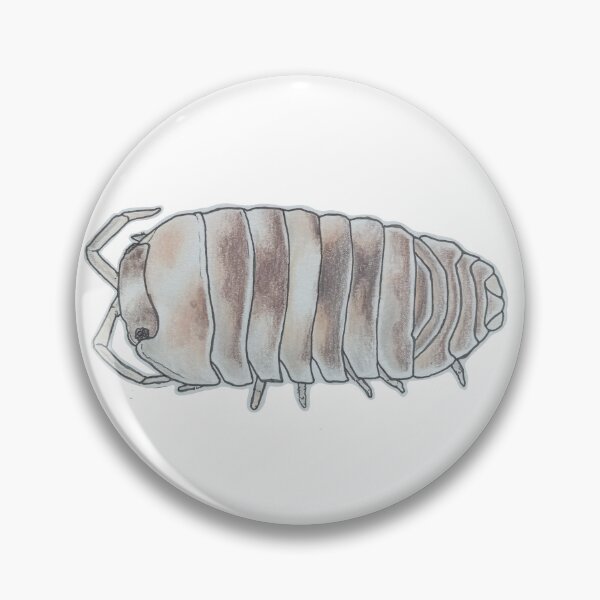 Item preview, Armadillidium espanyoli designed and sold by Postablepods.