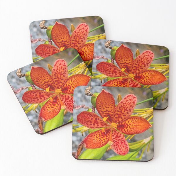 Item preview, Blackberry Lily designed and sold by Jackson Lanier.