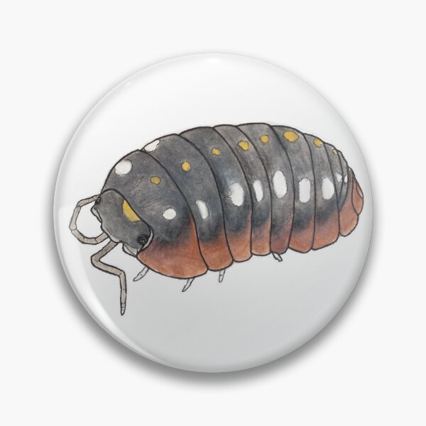 Item preview, Armadillidium klugii designed and sold by Postablepods.
