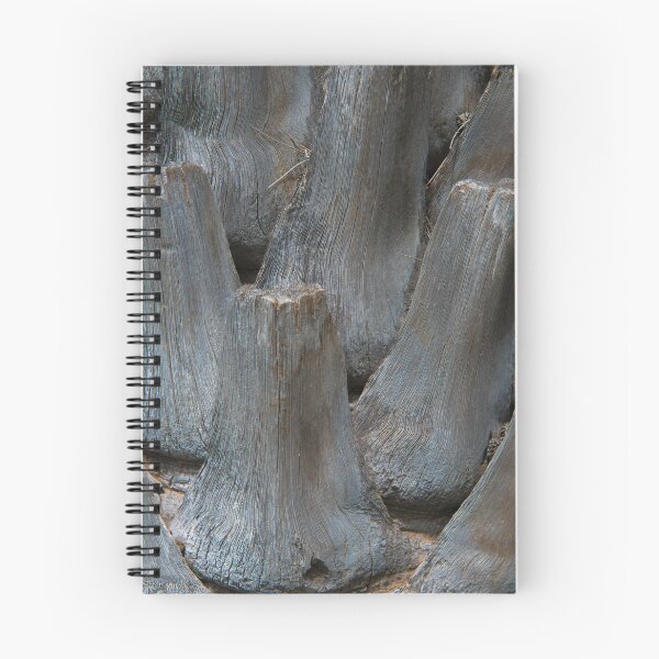 Item preview, Hawaiian Palm Textures designed and sold by Bill Spengler's Photographic Thoughts.