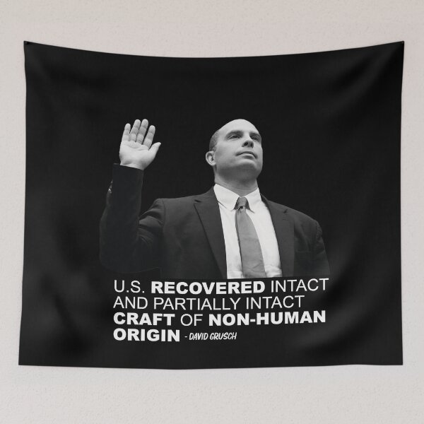 Item preview, David Grusch UAP Disclosure quote designed and sold by palenicek.