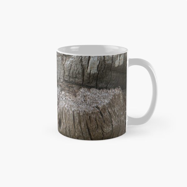 Item preview, Textures of a Hawaiian Palm designed and sold by Bill Spengler's Photographic Thoughts.