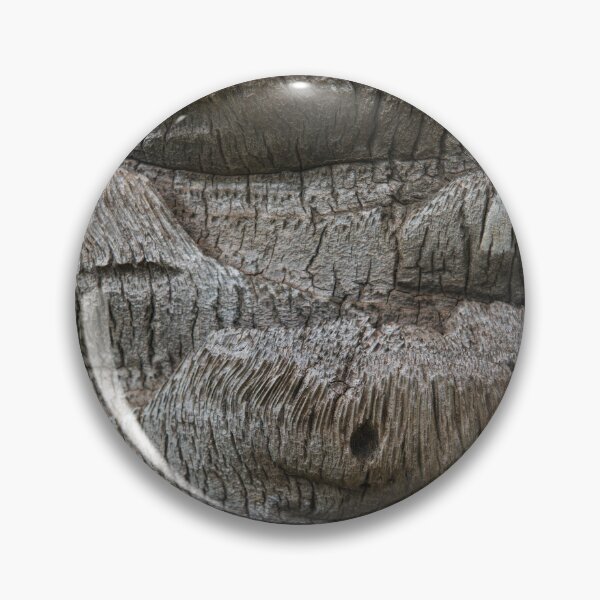Item preview, Textures of a Hawaiian Palm designed and sold by Bill Spengler's Photographic Thoughts.
