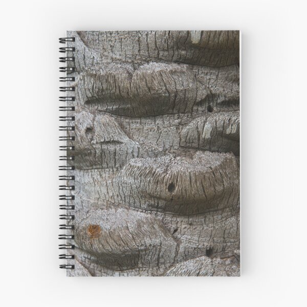 Item preview, Textures of a Hawaiian Palm designed and sold by Bill Spengler's Photographic Thoughts.