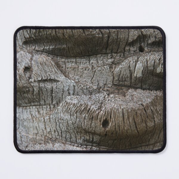 Item preview, Textures of a Hawaiian Palm designed and sold by Bill Spengler's Photographic Thoughts.