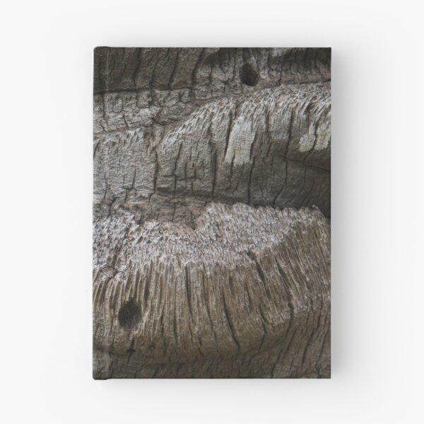Item preview, Textures of a Hawaiian Palm designed and sold by Bill Spengler's Photographic Thoughts.