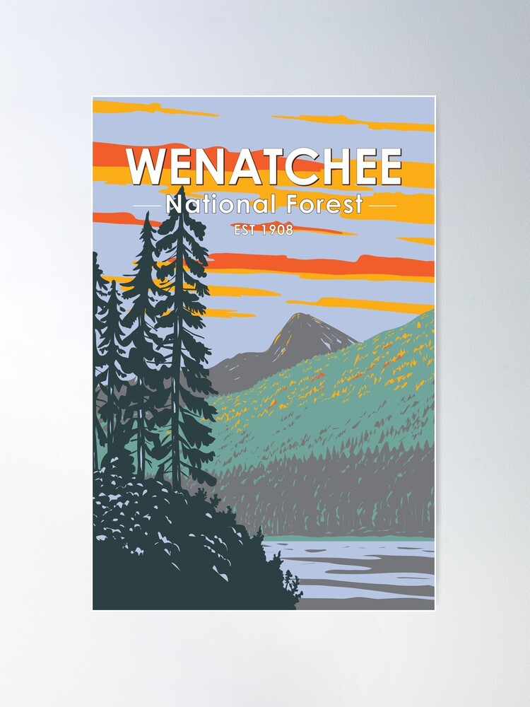 Okanogan Wenatchee National Forest Washington Travel Art Vintage