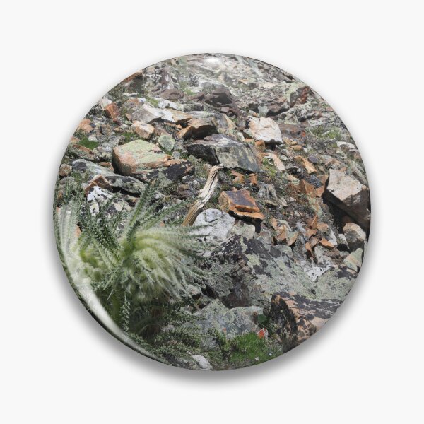 Item preview, Cirsium scopulorum II designed and sold by zumi.