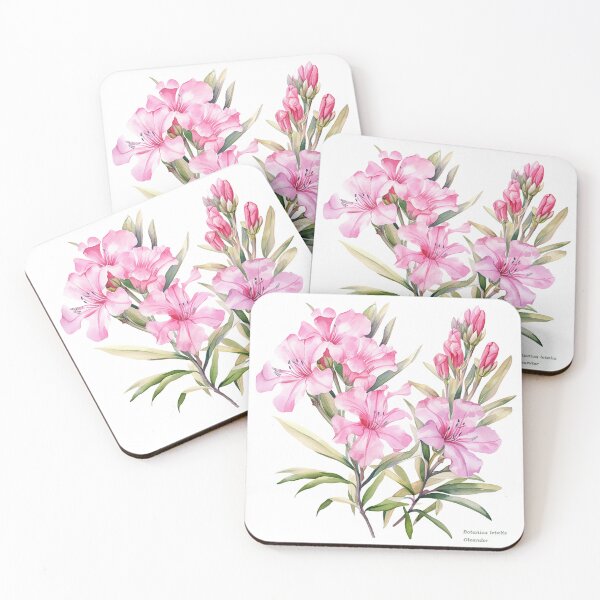 Item preview, Botanica letalis - Oleander, beautiful flower, Botanical  designed and sold by Dahlann.
