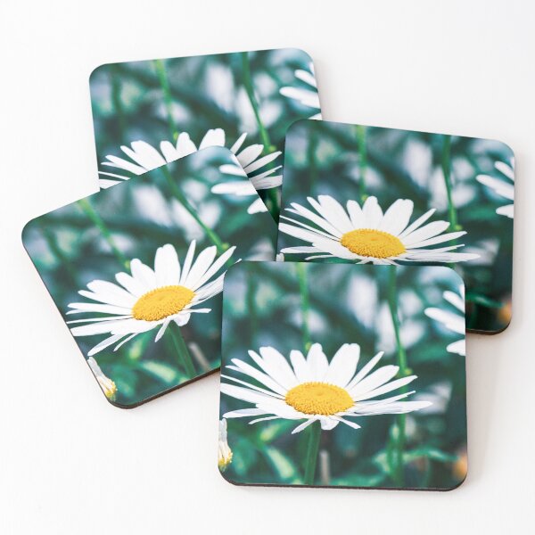 Item preview, Daisy Macro - Hyannis, MA designed and sold by Gabriel Sanchez.