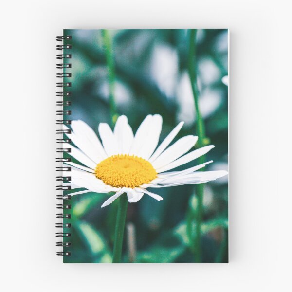 Item preview, Daisy Macro - Hyannis, MA designed and sold by Gabriel Sanchez.