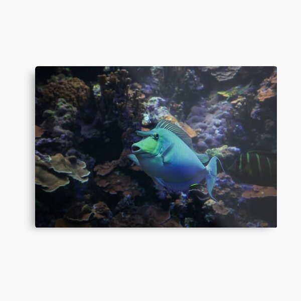 Deep Blue Unicorn Metal Print