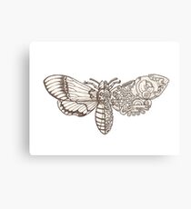 death head moth scifi Canvas Print