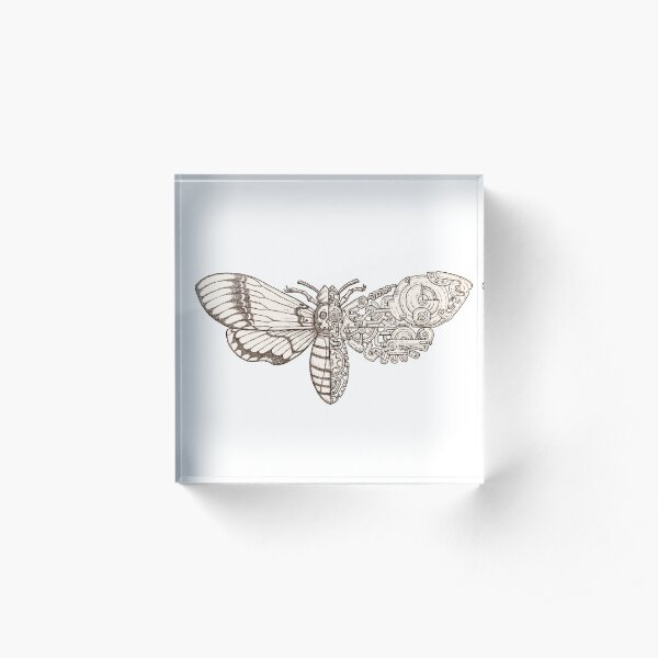 death head moth scifi Acrylic Block