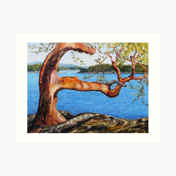 Arbutus Tree Reaching Art Print