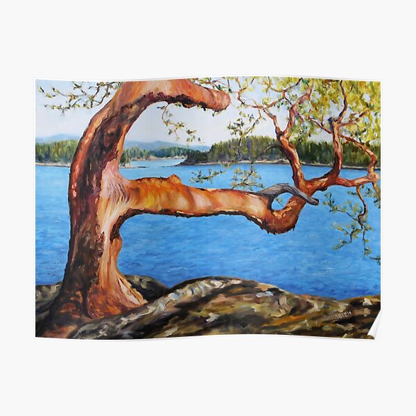Arbutus Tree Reaching Poster
