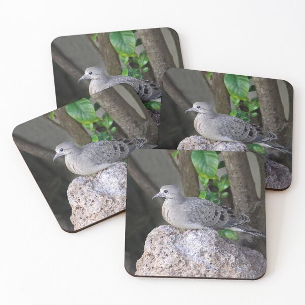 Item preview, My Fledgling designed and sold by heatherfriedman.