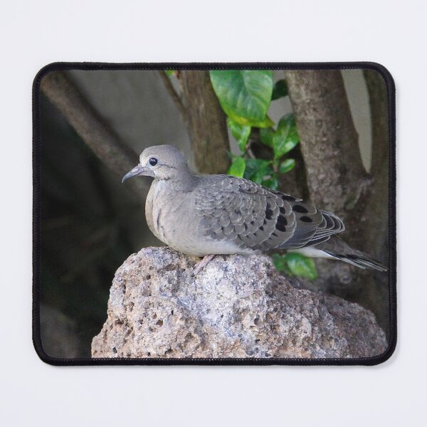 Item preview, My Fledgling designed and sold by heatherfriedman.