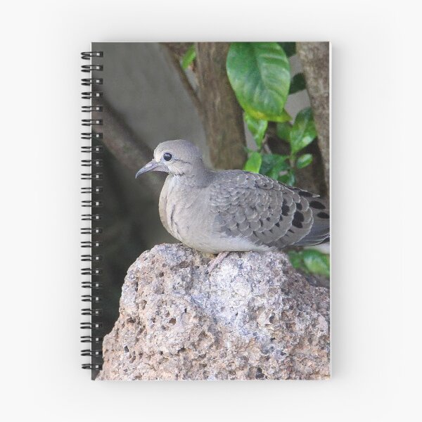 Item preview, My Fledgling designed and sold by heatherfriedman.