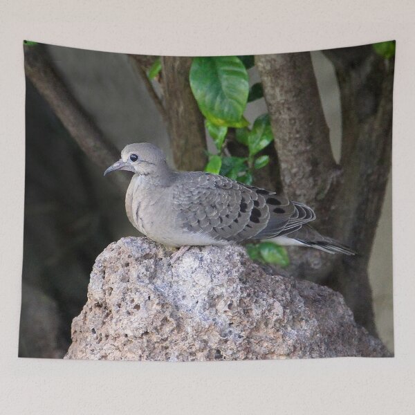 Item preview, My Fledgling designed and sold by heatherfriedman.