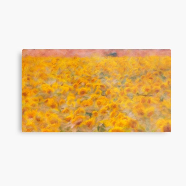 Field of Sunflowers Reworked Metal Print
