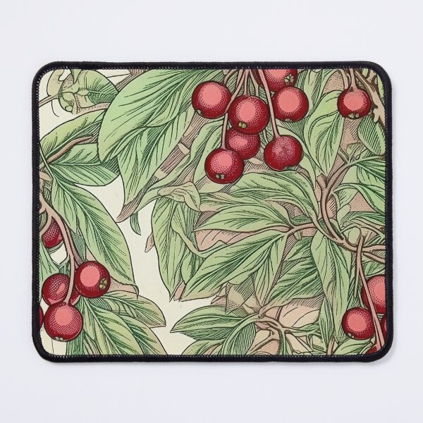 Item preview, Cranberry drawing designed and sold by ComicsFactory.