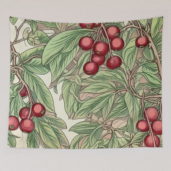 Item preview, Cranberry drawing designed and sold by ComicsFactory.