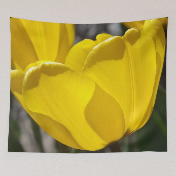 Item preview, Golden Light  designed and sold by lornakay.