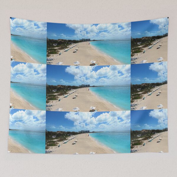 Item preview, Looking west along Grace bay Beach Providenciales TCI designed and sold by provodawg.