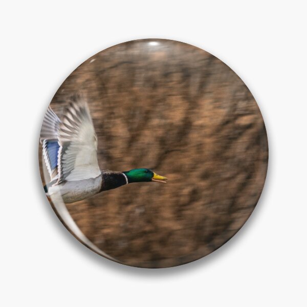 Item preview, Duck Flying designed and sold by LensMedia.
